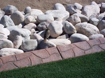 Artificial Turf